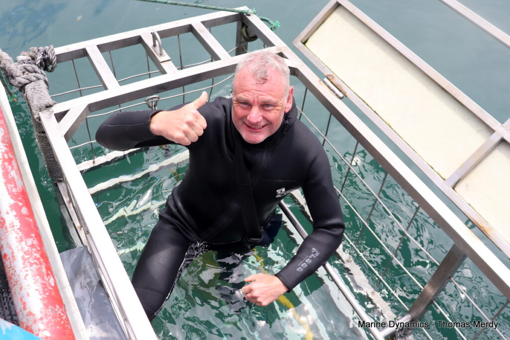 Shark cage diving, South Africa, Gansbaai