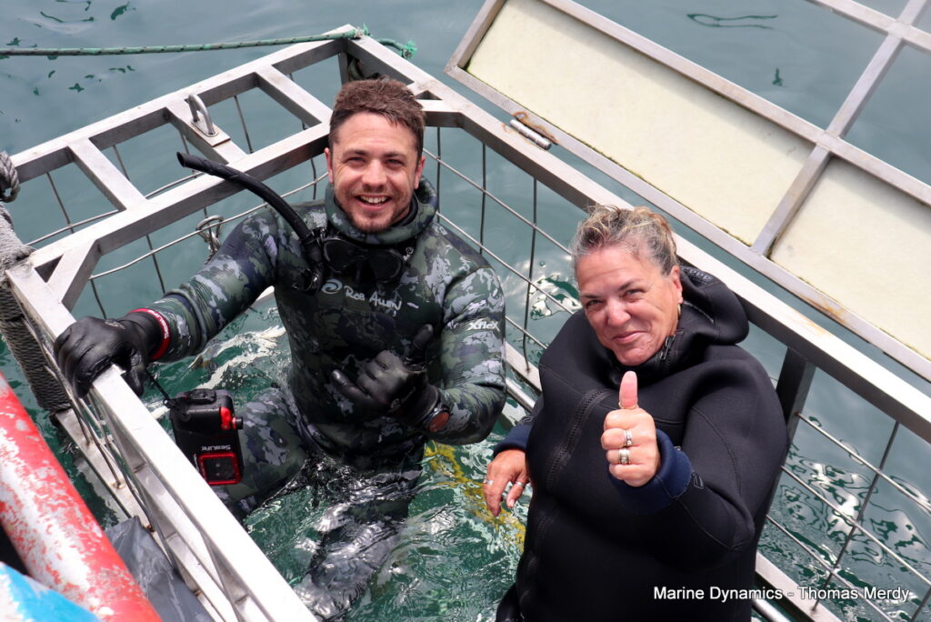 Shark cage diving, South Africa, Gansbaai