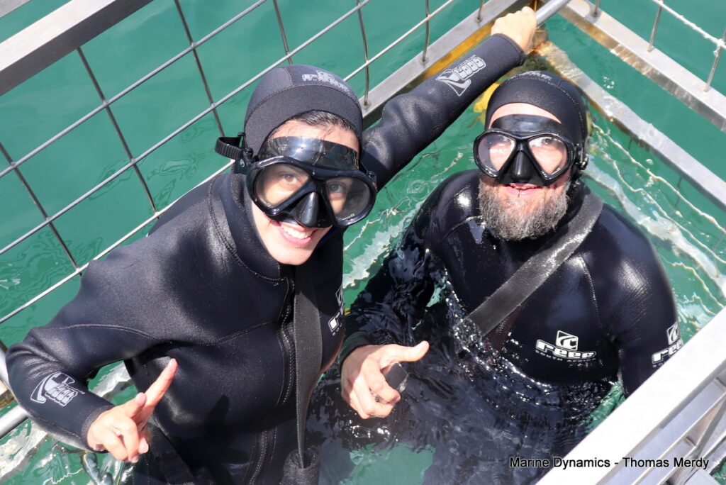 Shark cage diving, South Africa, Gansbaai