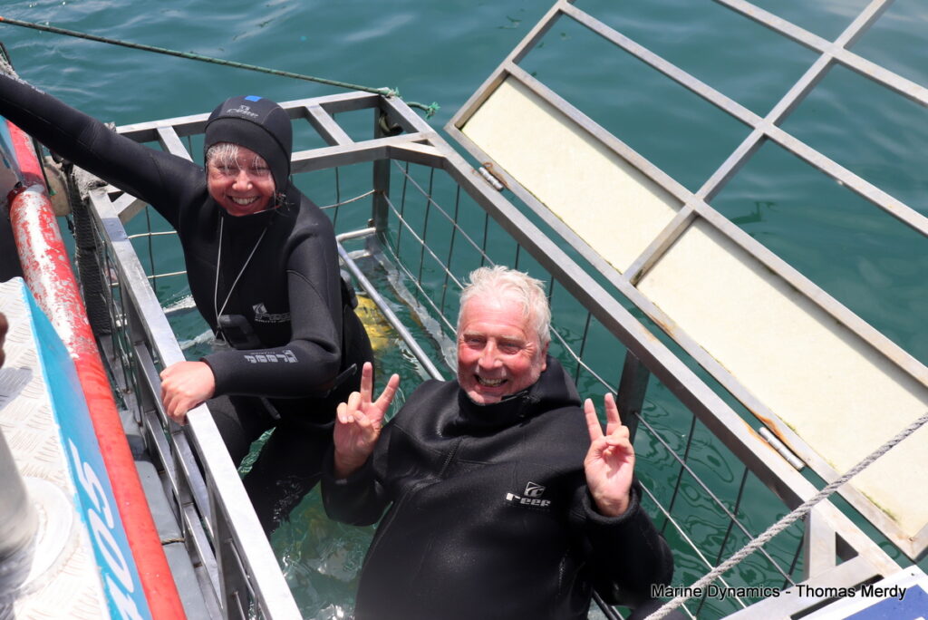 Shark cage diving, South Africa, Gansbaai