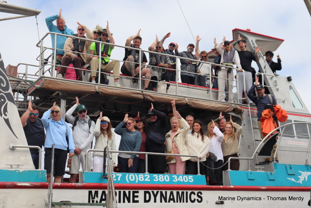 Shark cage diving, South Africa, Gansbaai