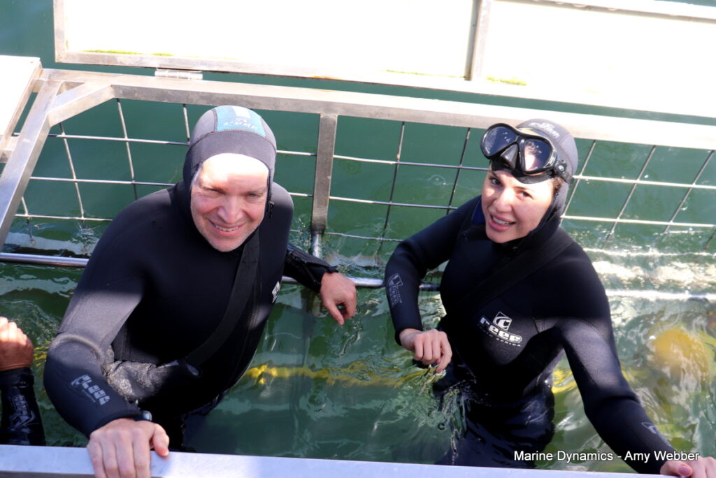 Shark cage diving, Gansbaai, South Africa
