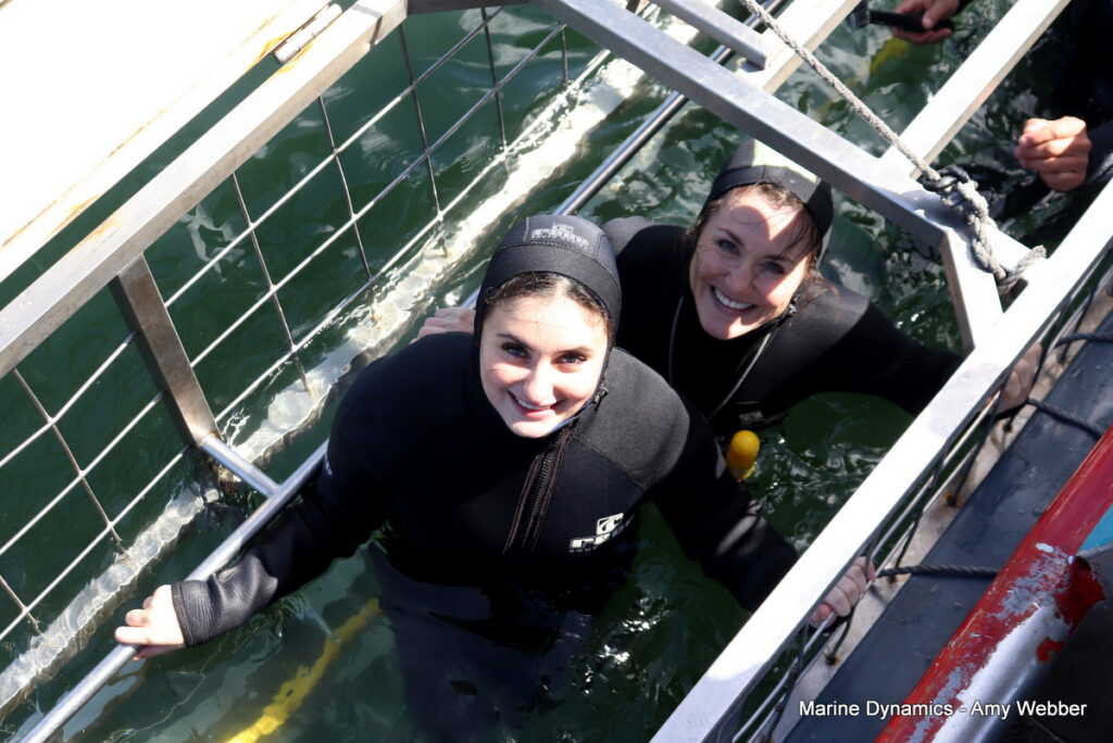 Shark cage diving, Gansbaai, South Africa