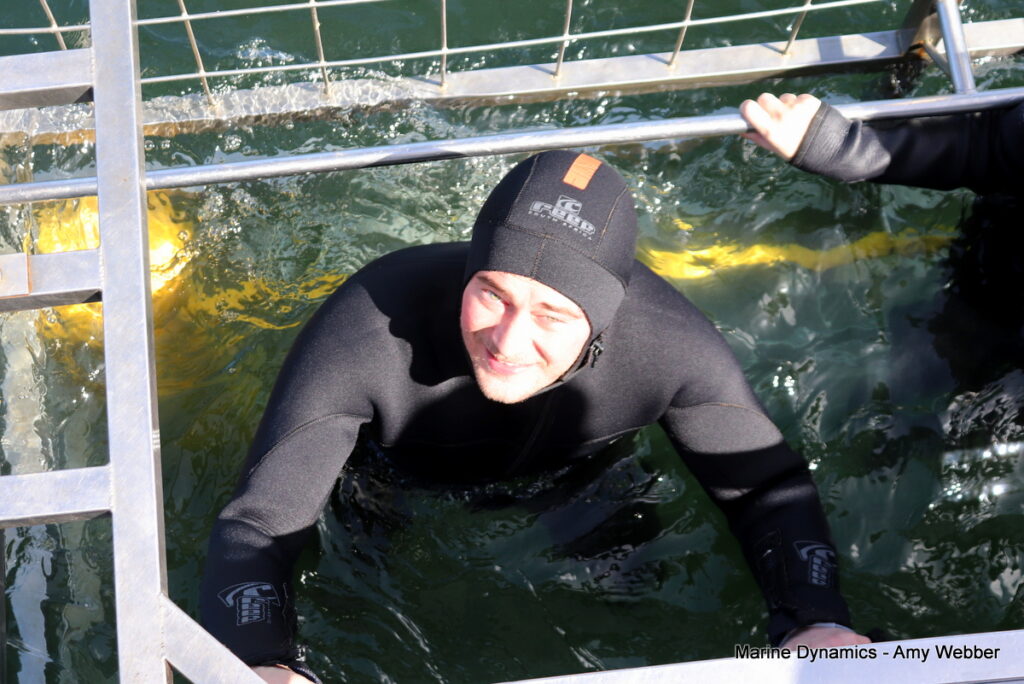 Shark cage diving, Gansbaai, South Africa