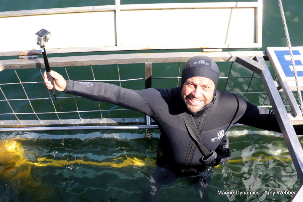 Shark cage diving, Gansbaai, South Africa