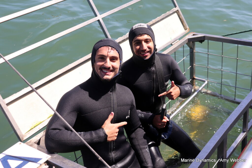 Shark cage diving, Gansbaai, South Africa