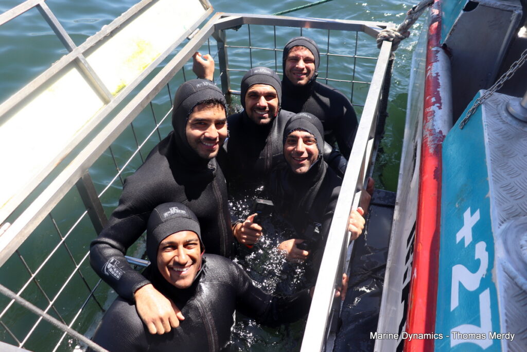 Shark cage diving, South Africa, Gansbaai,