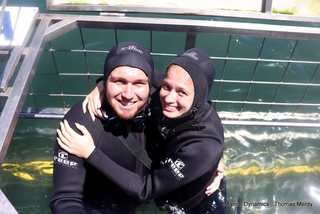 Shark cage diving, South Africa, Gansbaai,