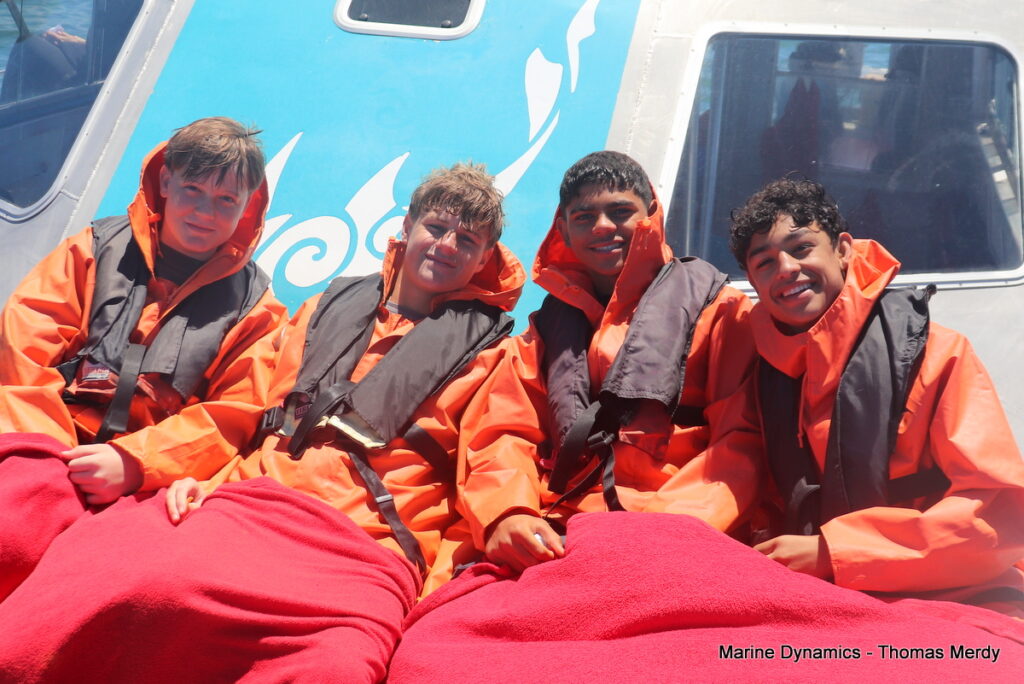 Shark cage diving, South Africa, Gansbaai,