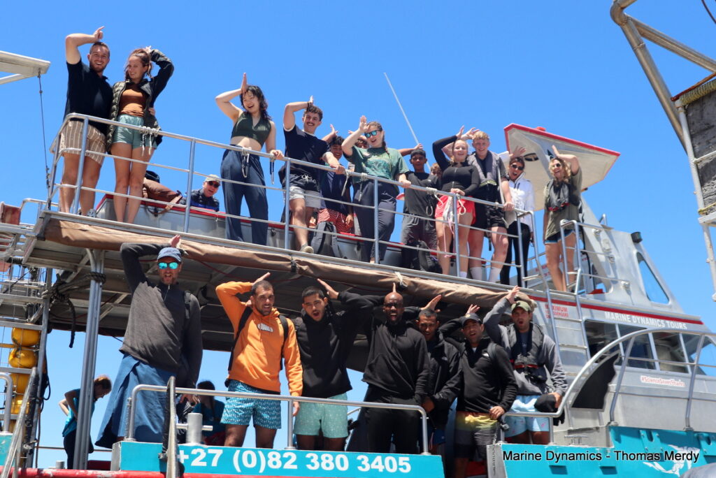 Shark cage diving, South Africa, Gansbaai,
