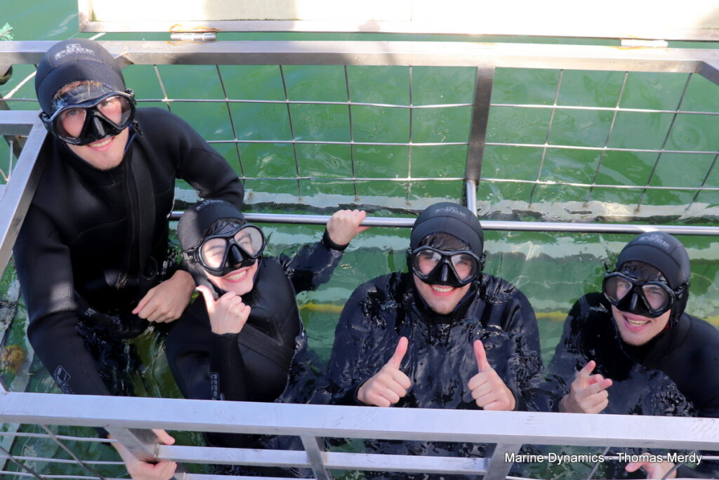 Shark cage diving, South Africa, Gansbaai