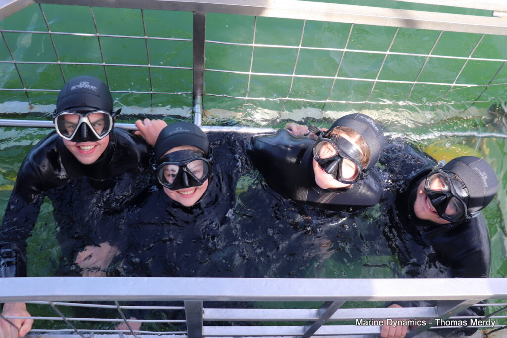 Shark cage diving, South Africa, Gansbaai