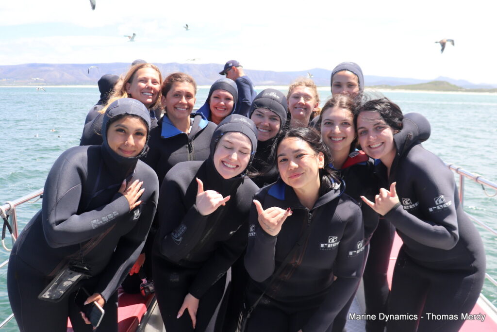 Shark cage diving, South Africa, Gansbaai