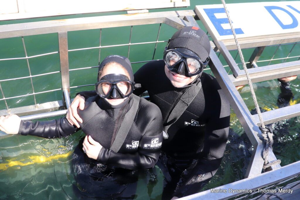 Shark cage diving, South Africa, Gansbaai