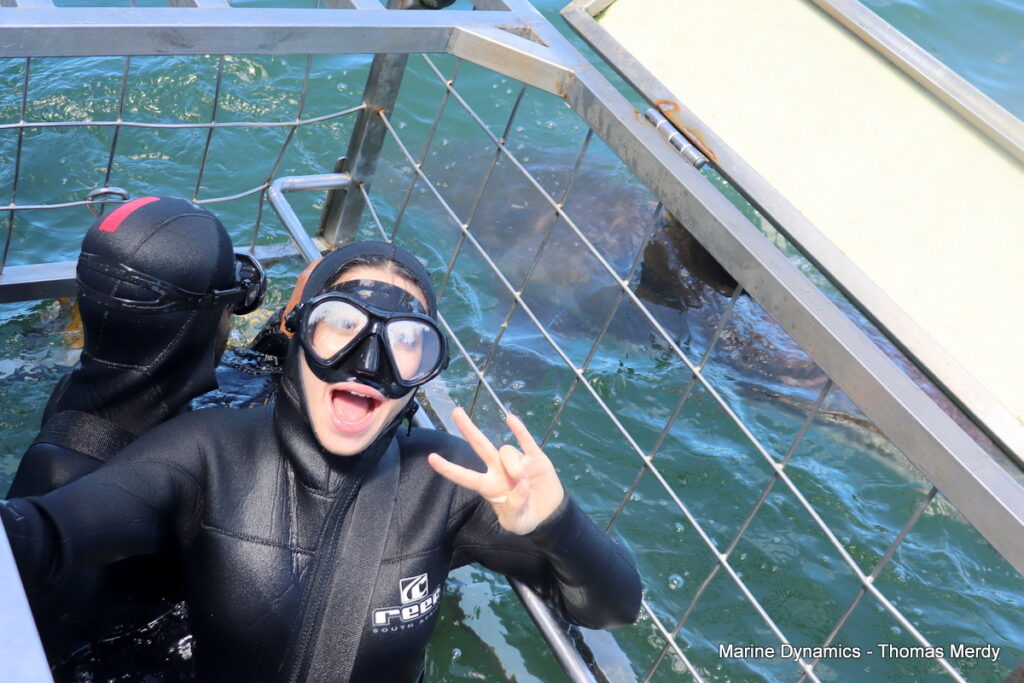 Shark cage diving, South Africa, Gansbaai