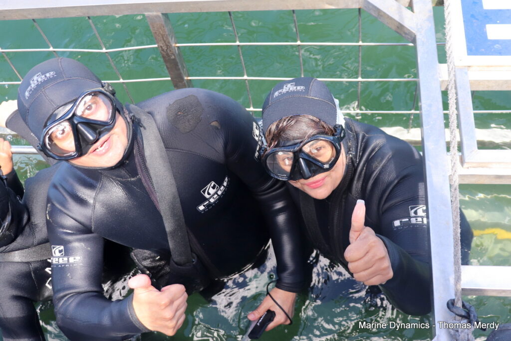 Shark cage diving, South Africa, Gansbaai