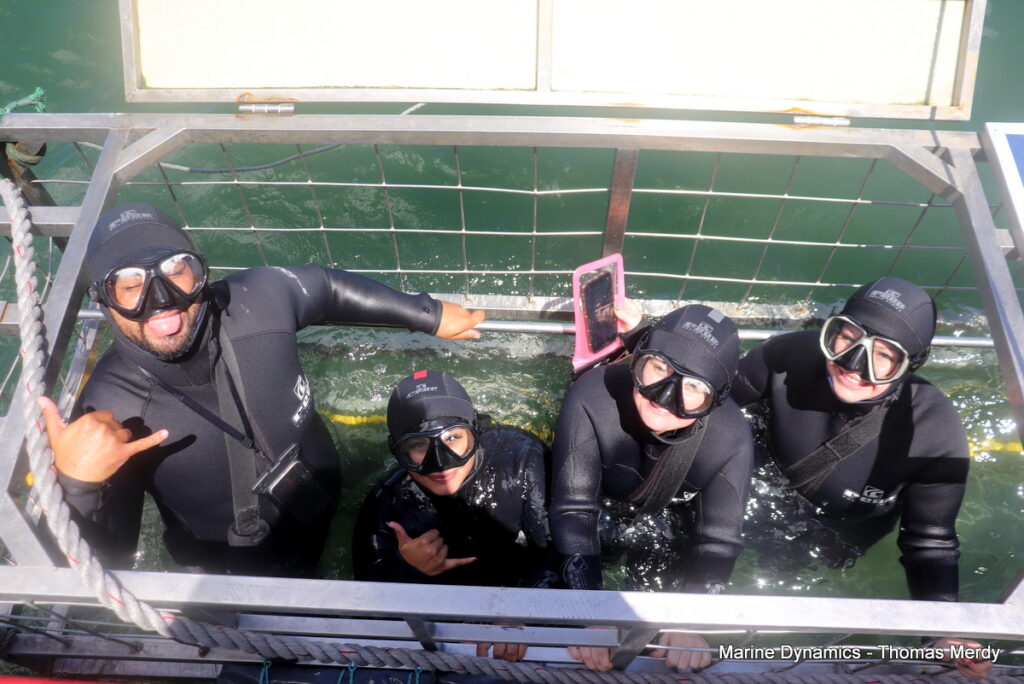 Shark cage diving, South Africa, Gansbaai