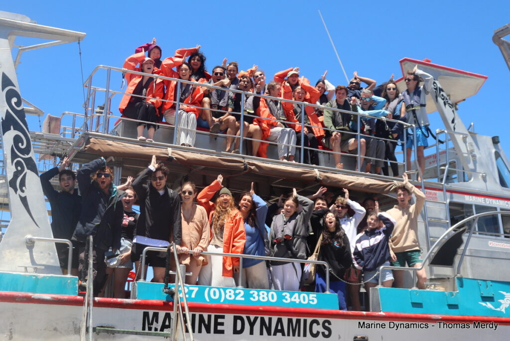 Shark cage diving, South Africa, Gansbaai