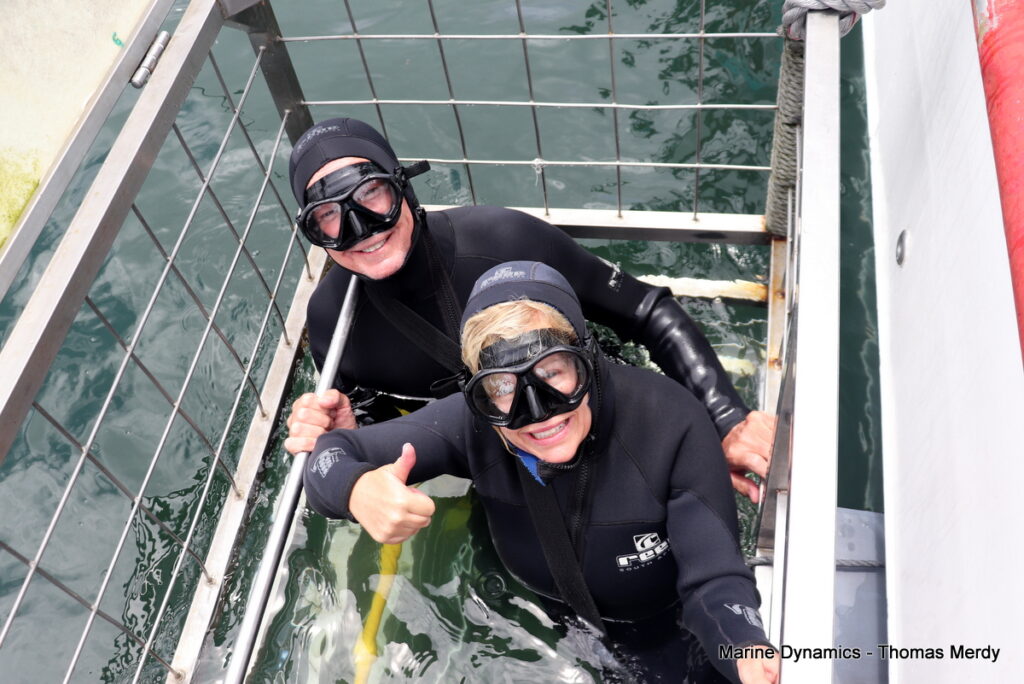 Shark cage diving, Gansbaai, South Africa