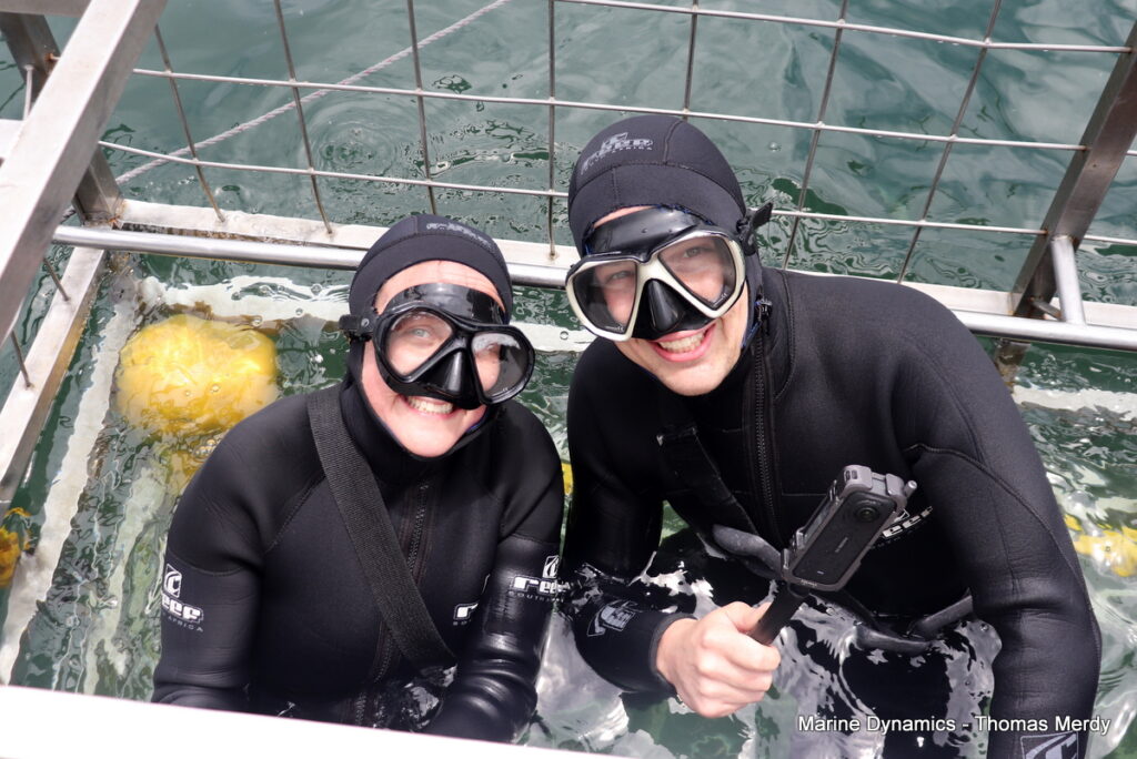 Shark cage diving, Gansbaai, South Africa