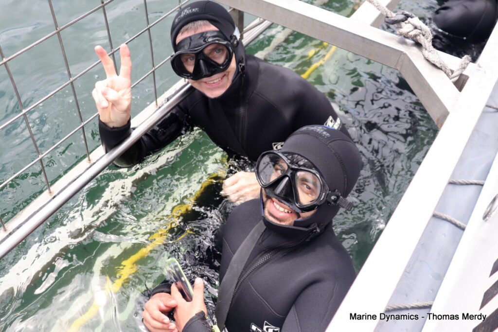 Shark cage diving, Gansbaai, South Africa