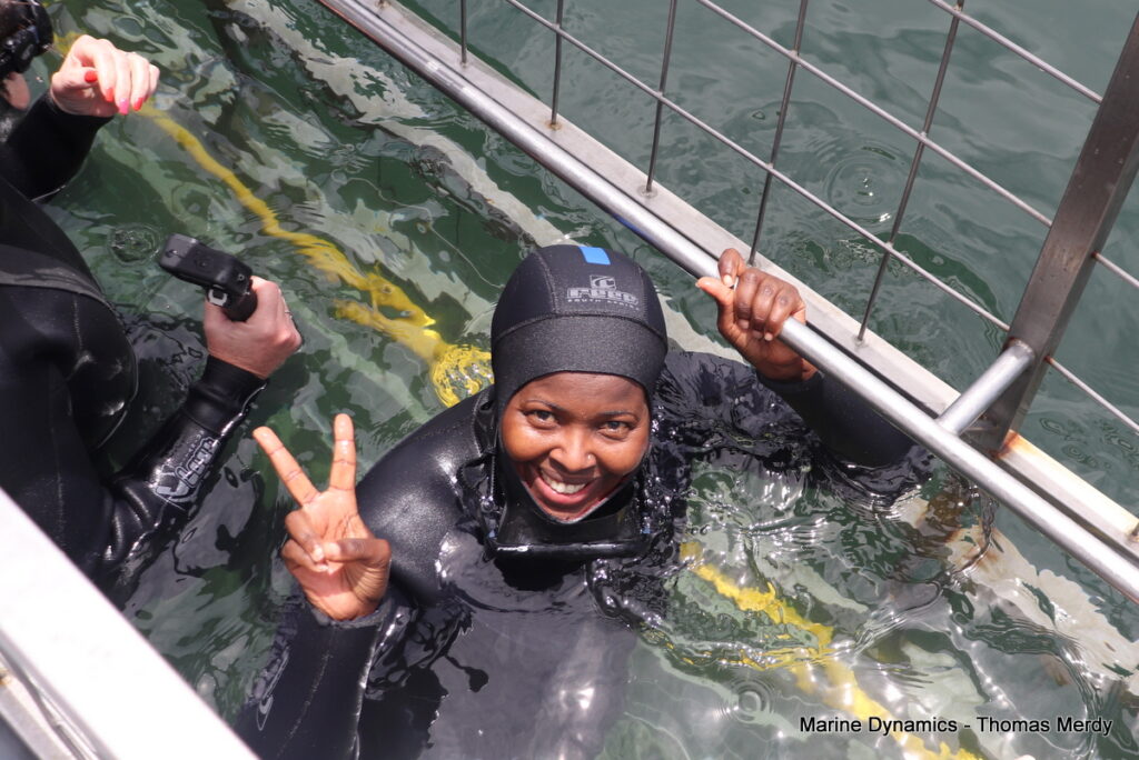 Shark cage diving, Gansbaai, South Africa