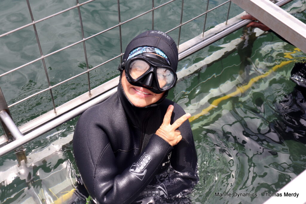 Shark cage diving, Gansbaai, South Africa