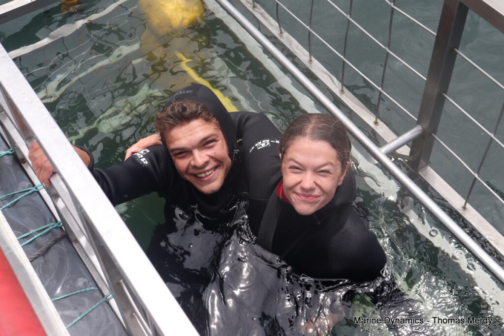 Shark cage diving, Gansbaai, South Africa