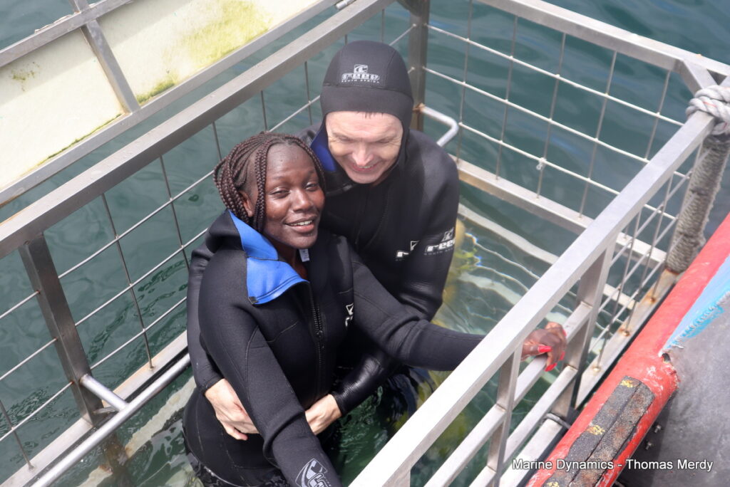 Shark cage diving, Gansbaai, South Africa