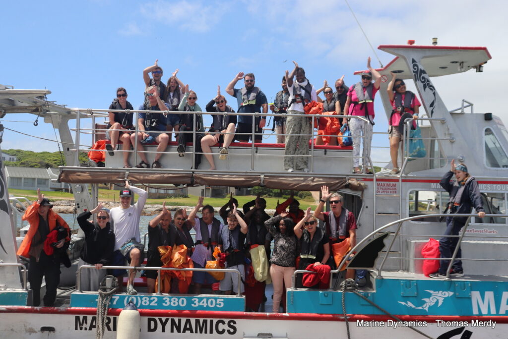 Shark cage diving, Gansbaai, South Africa