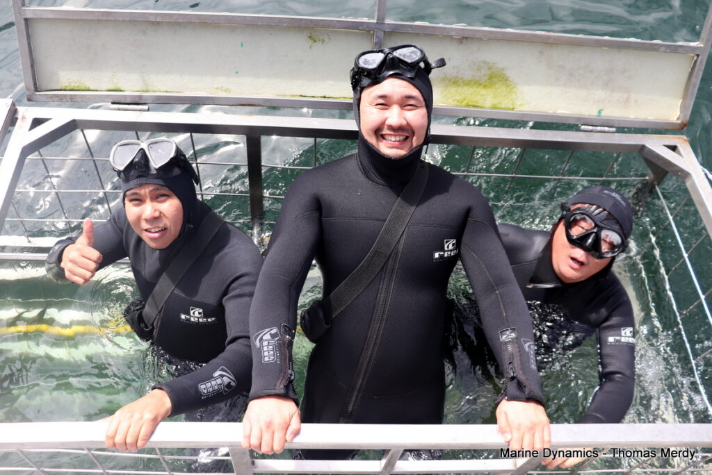 Shark cage diving, Gansbaai, South Africa