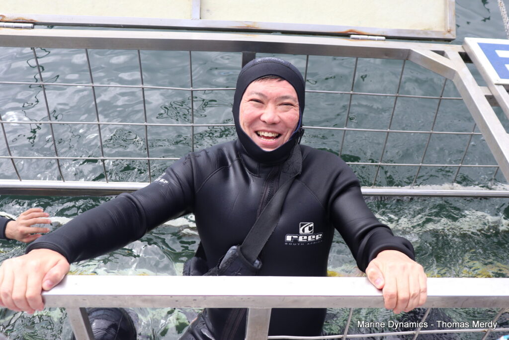 Shark cage diving, Gansbaai, South Africa