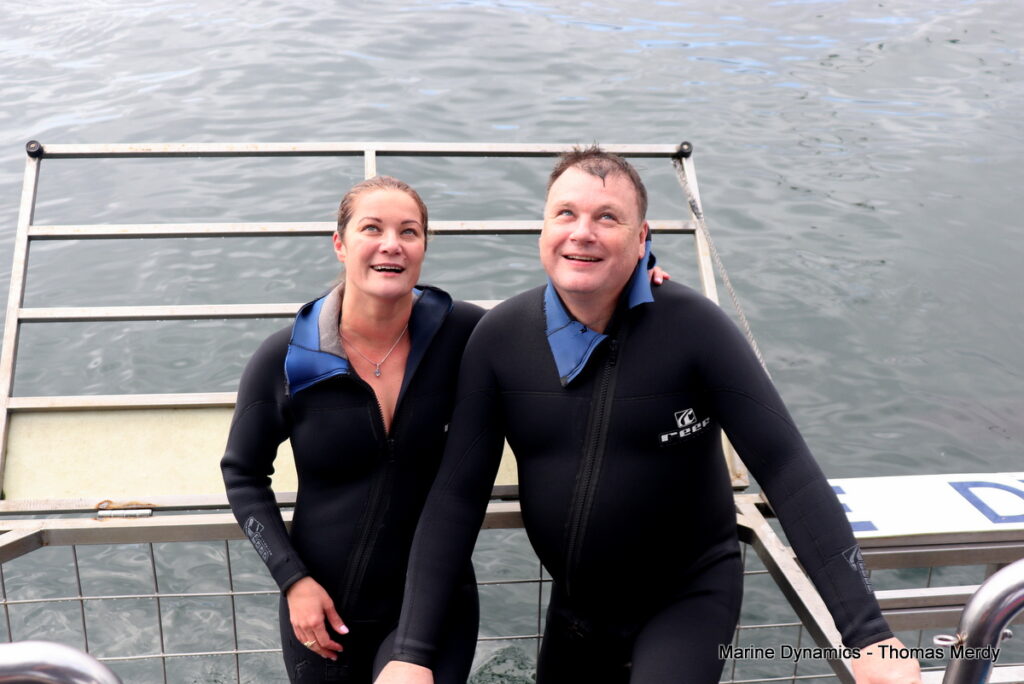 Shark cage diving, Gansbaai, South Africa