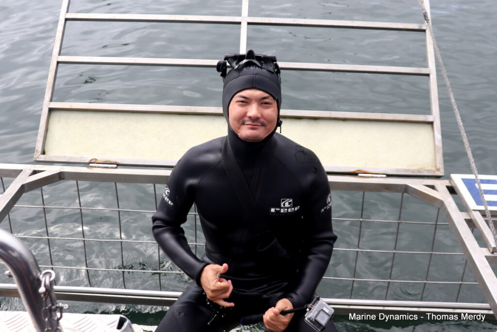 Shark cage diving, Gansbaai, South Africa