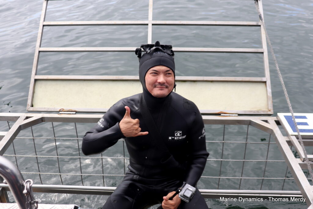 Shark cage diving, Gansbaai, South Africa