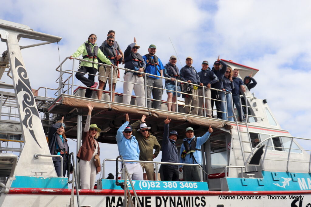 Shark cage diving, Gansbaai, South Africa