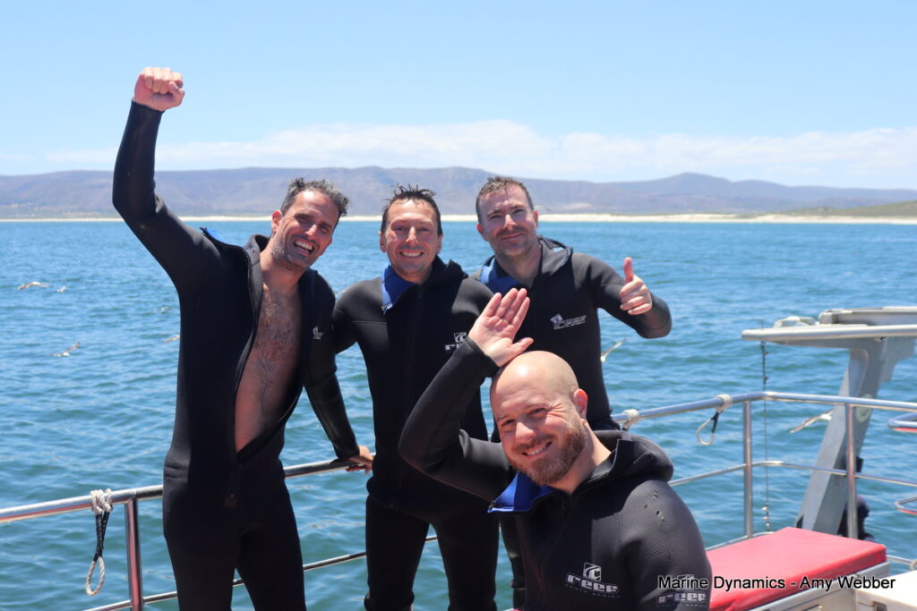 Shark cage diving, Gansbaai, South Africa