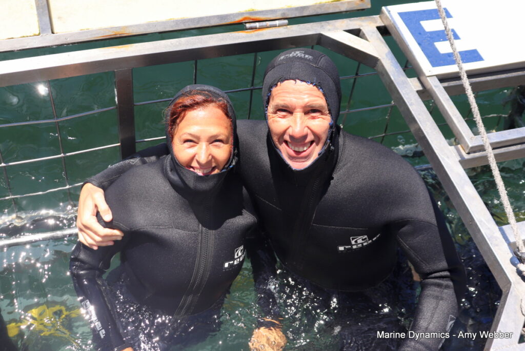 Shark cage diving, Gansbaai, South Africa