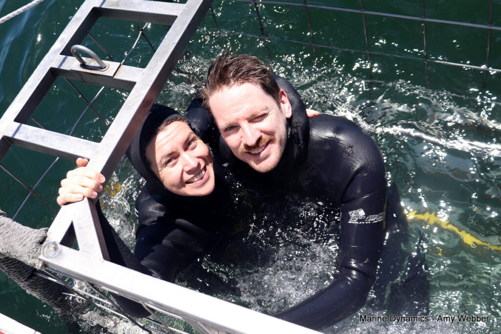 Shark cage diving, Gansbaai, South Africa
