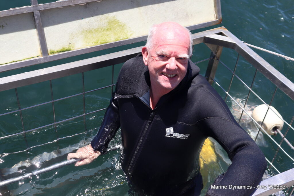 Shark cage diving, Gansbaai, South Africa