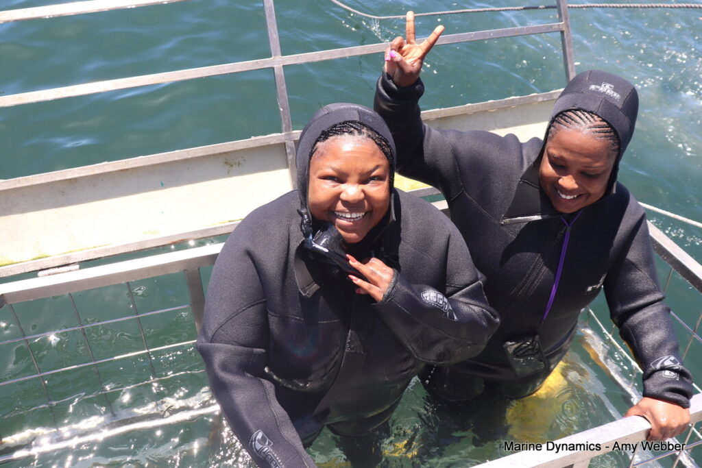 Shark cage diving, Gansbaai, South Africa