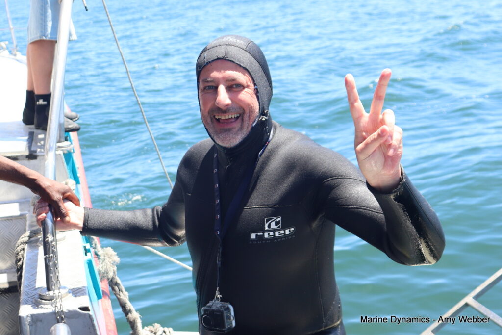 Shark cage diving, Gansbaai, South Africa