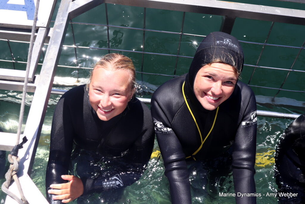 Shark cage diving, Gansbaai, South Africa
