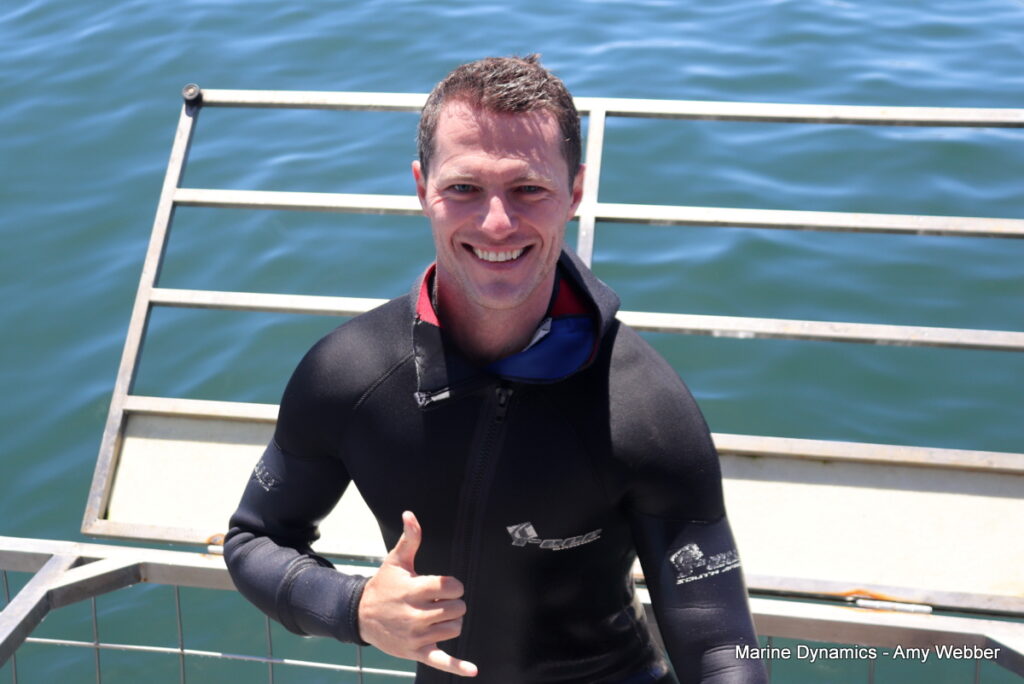 Shark cage diving, Gansbaai, South Africa