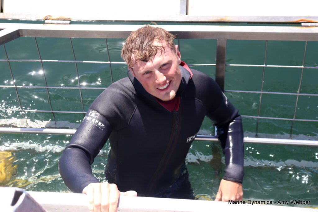 Shark cage diving, Gansbaai, South Africa