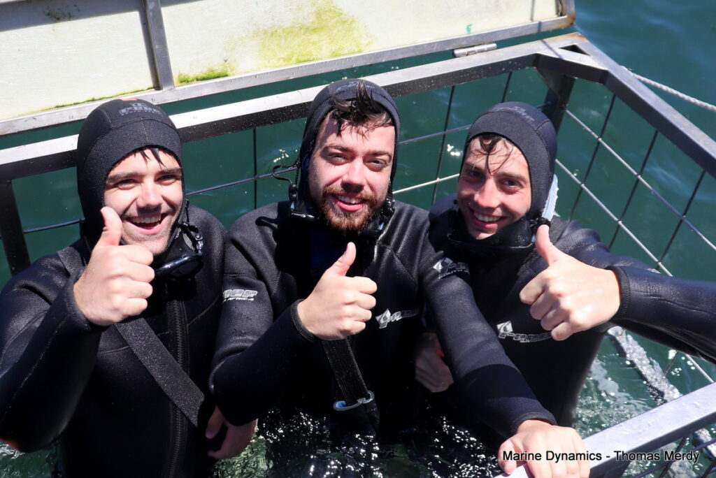 Shark cage diving, South Africa, Gansbaai
