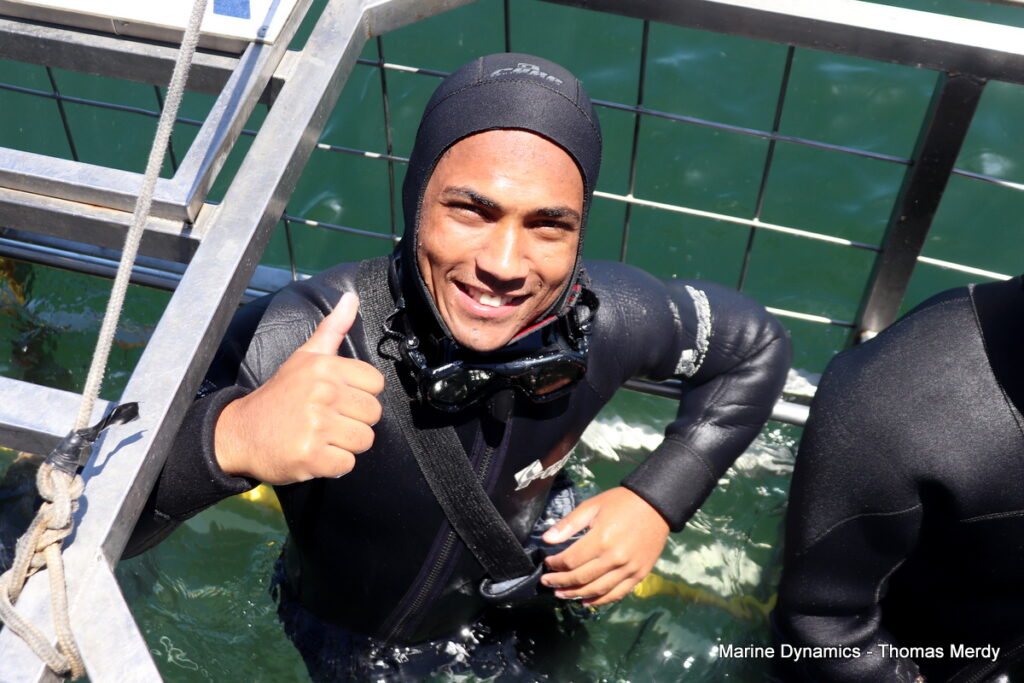 Shark cage diving, South Africa, Gansbaai