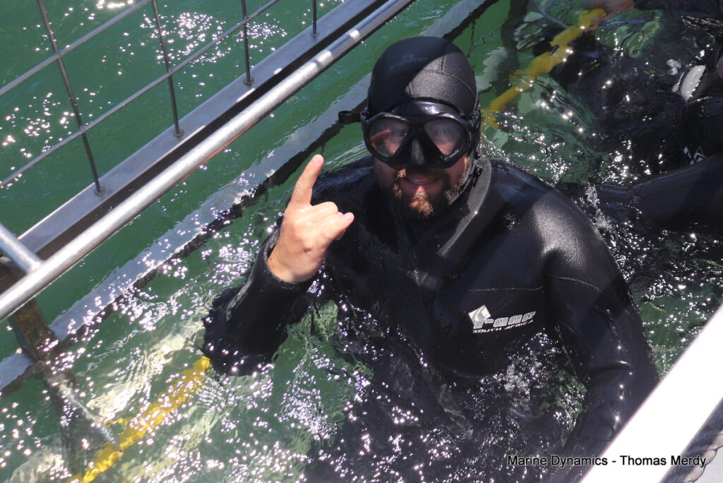 Shark cage diving, South Africa, Gansbaai
