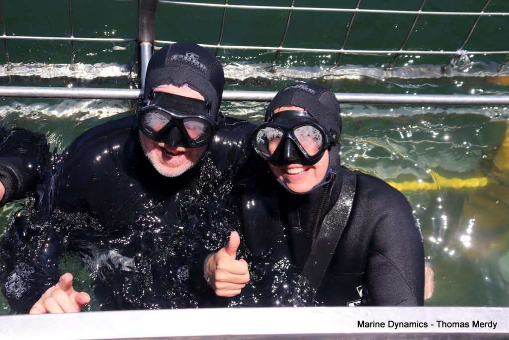 Shark cage diving, South Africa, Gansbaai