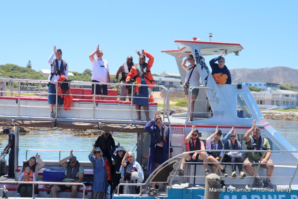 Shark cage diving, South Africa, Gansbaai